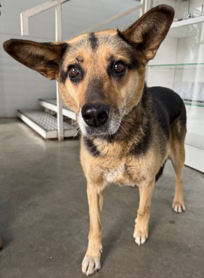 Иркутск 817/25