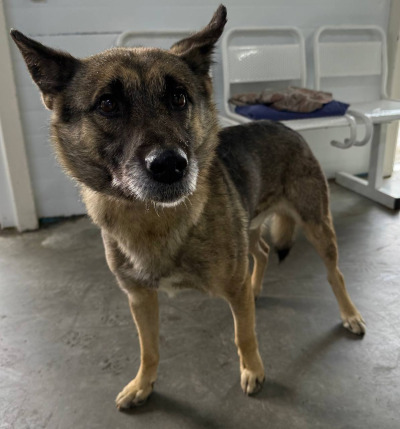 Иркутск 818/25