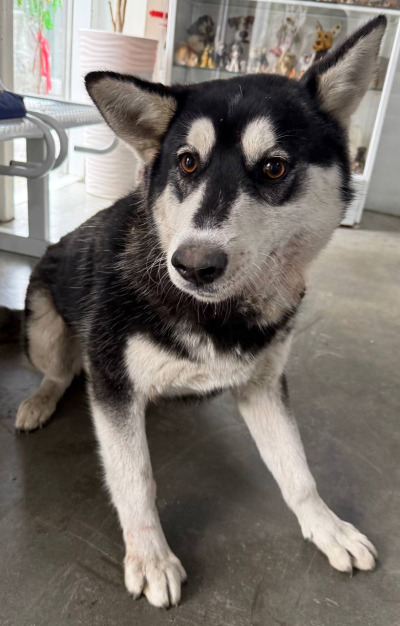 Иркутск 819/25