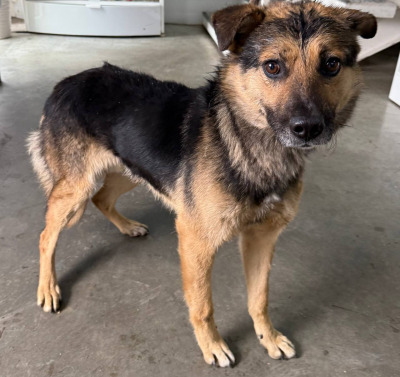 Иркутск 820/25