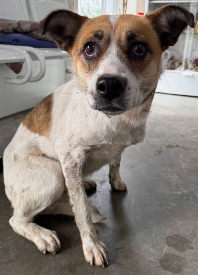 Иркутск 821/25