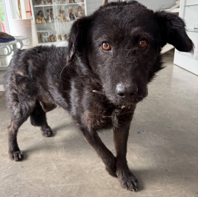 Иркутск 822/25