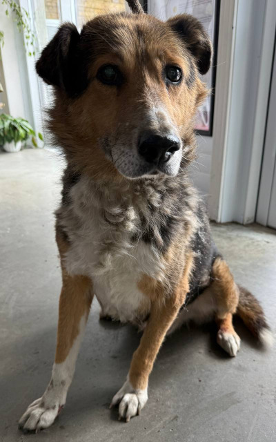 Иркутск 823/25