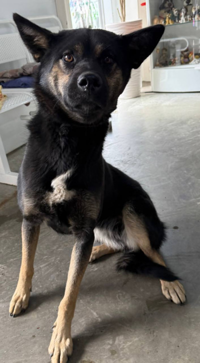 Иркутск 824/25