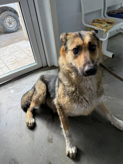 Иркутск 825/25