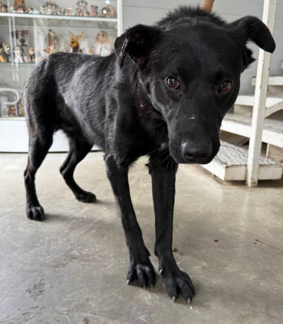 Иркутск 826/25