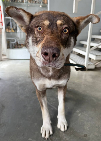 Иркутск 827/25