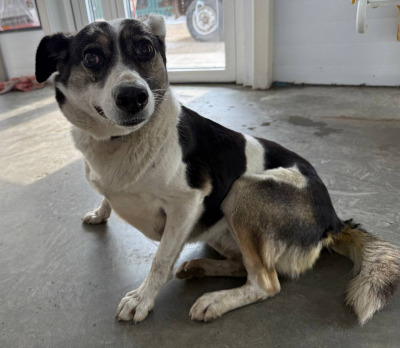 Иркутск 828/25