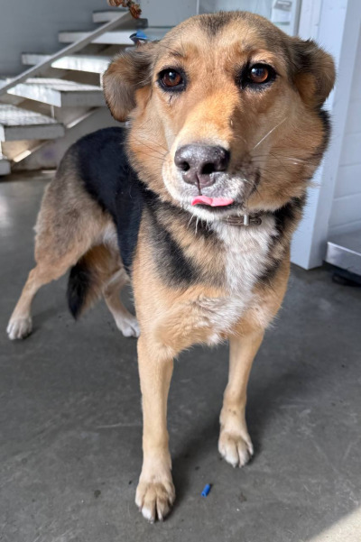 Иркутск 829/25