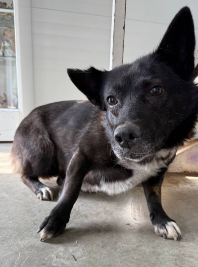 Иркутск 830/25