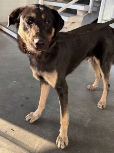 Иркутск 831/25