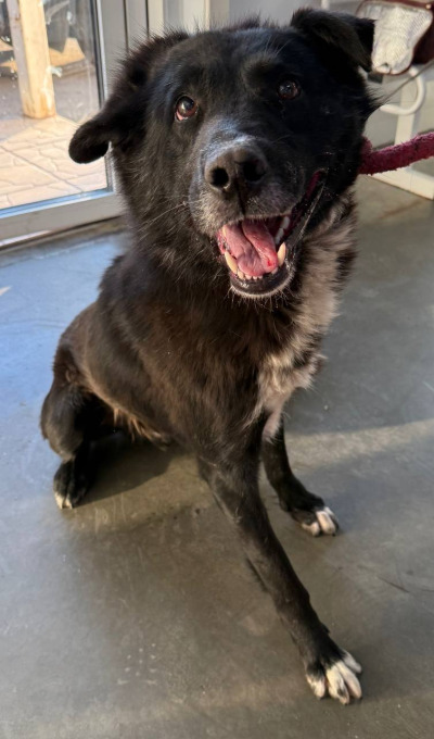 Иркутск 832/25