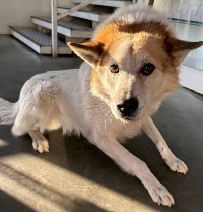 Иркутск 833/25