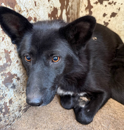 Иркутск 834/25