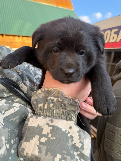 Иркутск 835/25