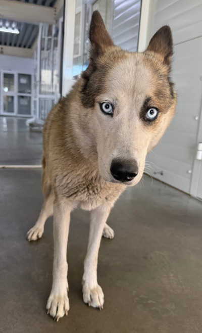 Иркутск 868\25