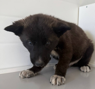 Иркутск 870\25