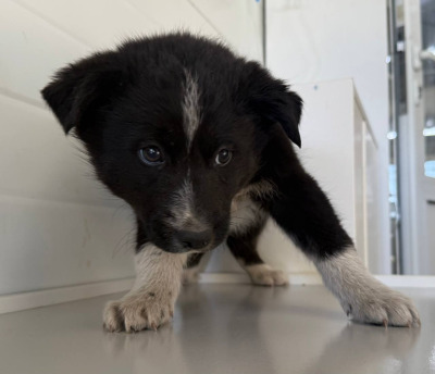 Иркутск 871\25