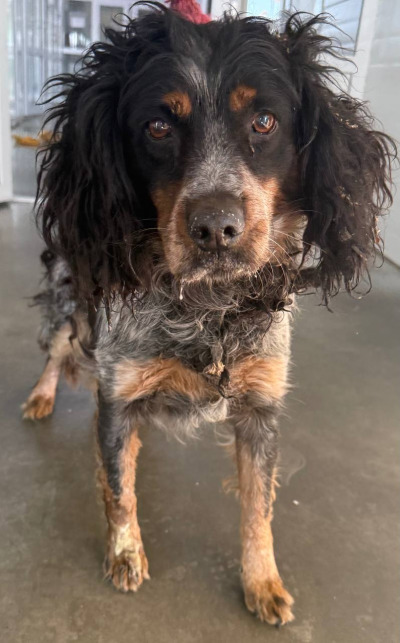 Иркутск 872\25