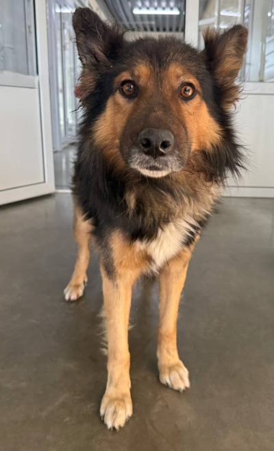 Иркутск 873\25