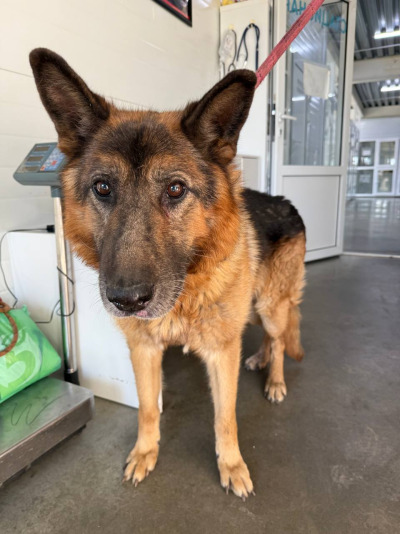 Иркутск 874\25