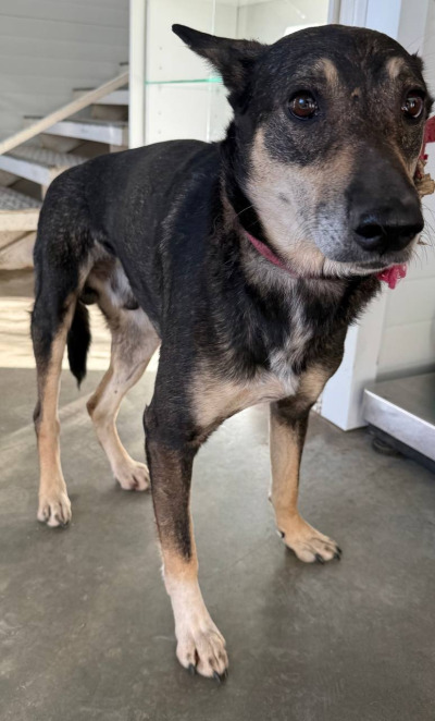 Иркутск 875\25