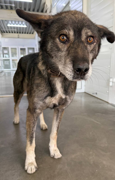 Иркутск 877\25