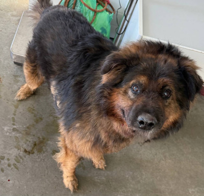 Иркутск 878\25