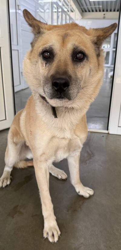 Иркутск 879\25