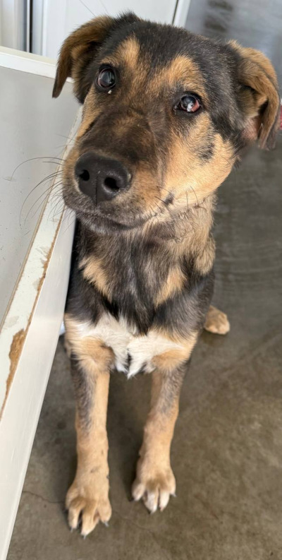 Иркутск 880\25