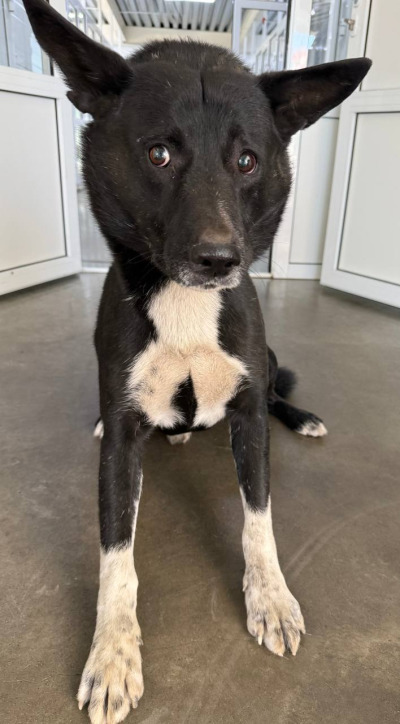 Иркутск 881\25