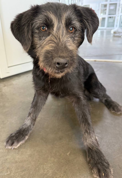 Иркутск 882\25