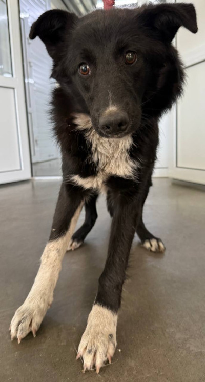 Иркутск 883\25