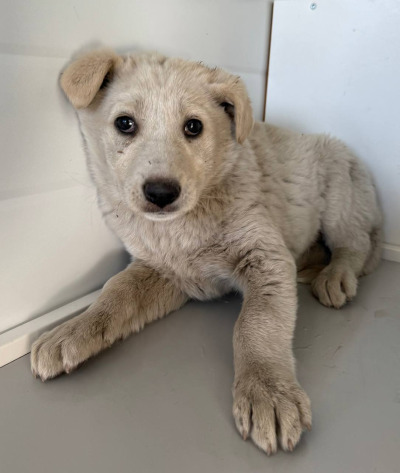 Иркутск 884\25