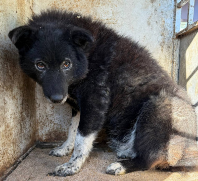 Иркутск 885\25