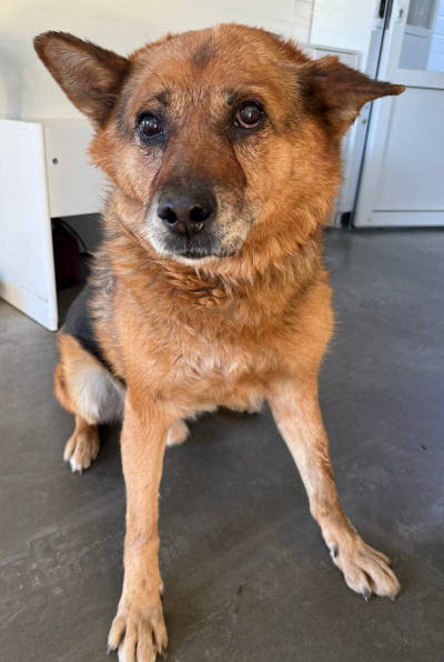 Иркутск 886\25