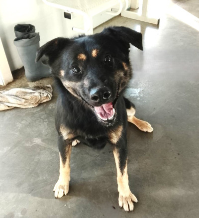 Иркутск 887/25