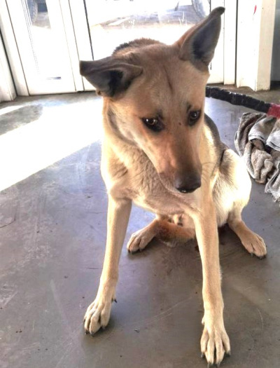 Иркутск 888/25