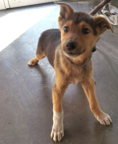 Иркутск 889/25