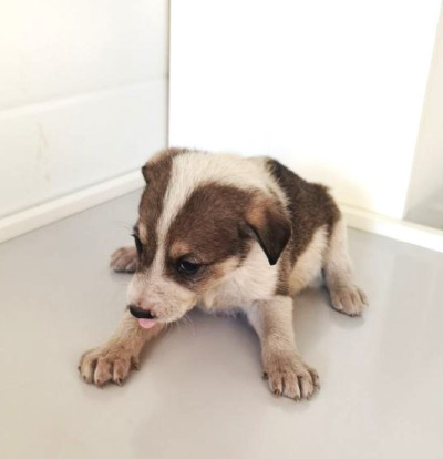 Иркутск 890/25