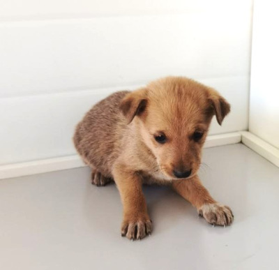 Иркутск 891/25