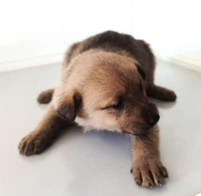 Иркутск 892/25