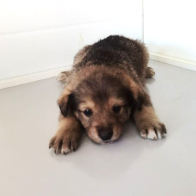 Иркутск 893/25