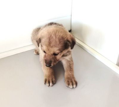 Иркутск 894/25