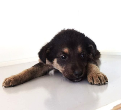 Иркутск 895/25