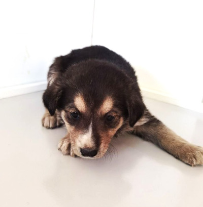 Иркутск 896/25