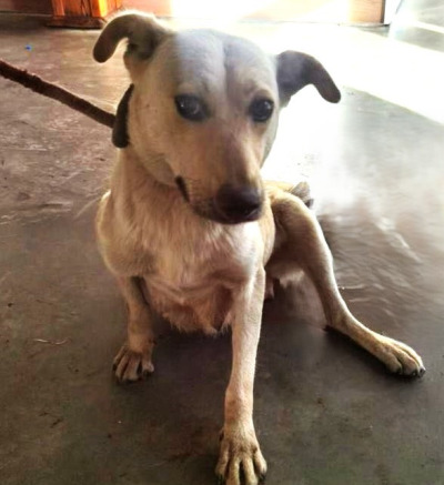 Иркутск 897/25