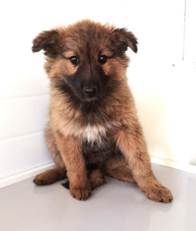 Иркутск 898/25