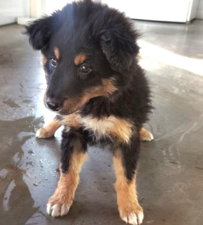 Иркутск 899/25