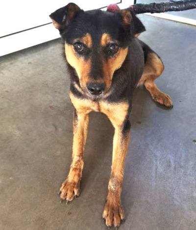 Иркутск 900/25